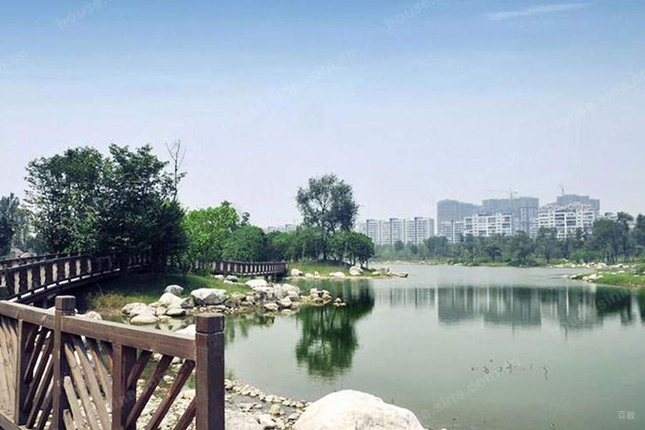 风景
