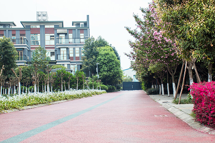 橡胶跑道