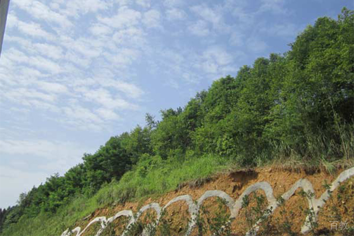 成都自强军事夏令营_后山风景