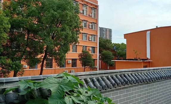 校园环境