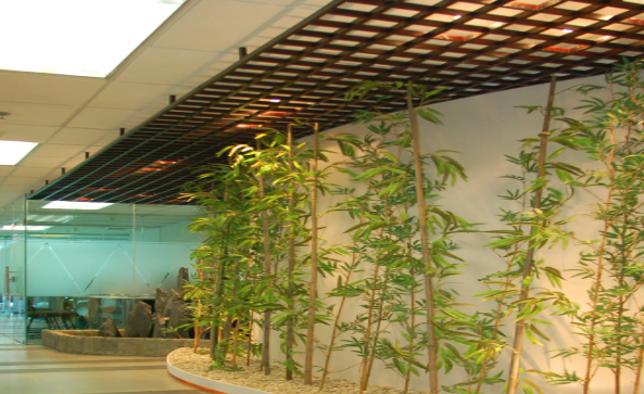 南宁樱花国际日语_学校环境展示