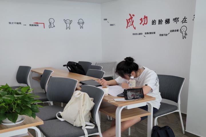 上海犀牛教育学习情景