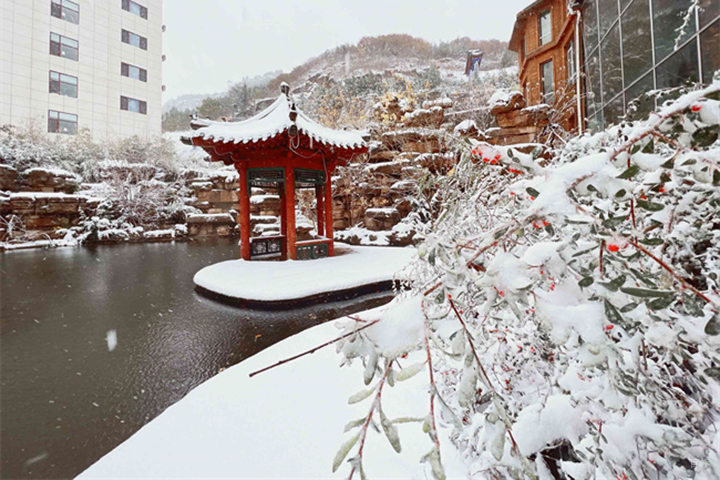 成都高联考研_校园风景