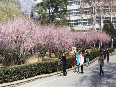校园环境