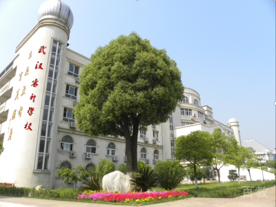 学校环境