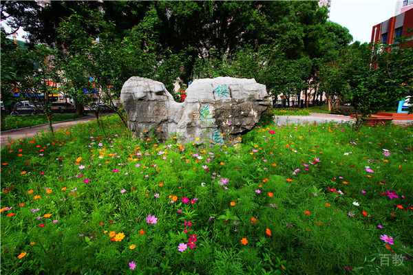 学校环境