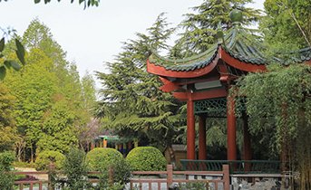 上海金苹果学校_校园环境