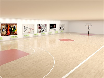 上海辅中国际课程中心室内篮球场