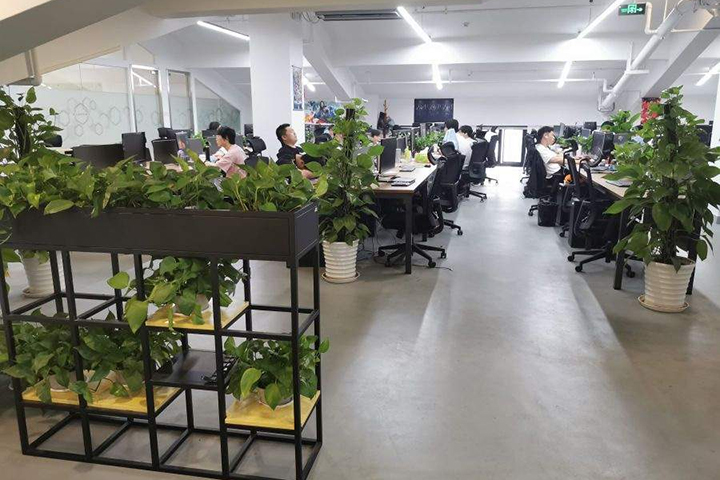 南宁第九联盟_学校绿植