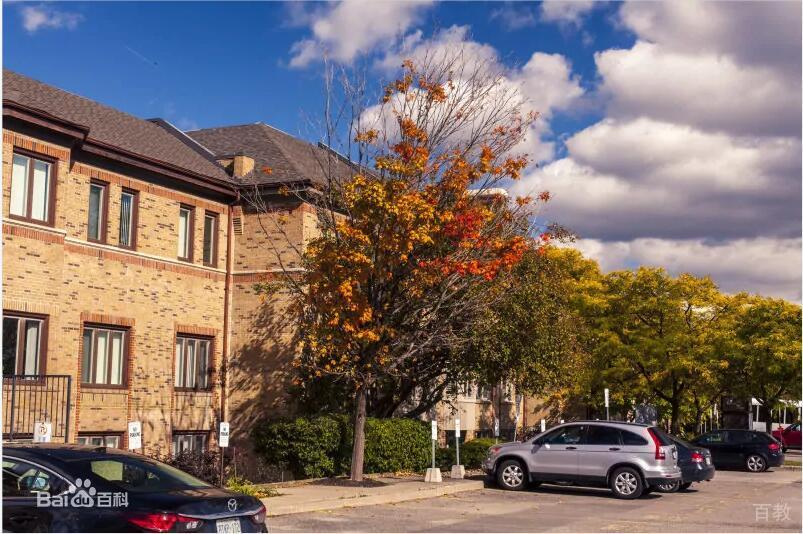 北京英思德国际公学_校区环境