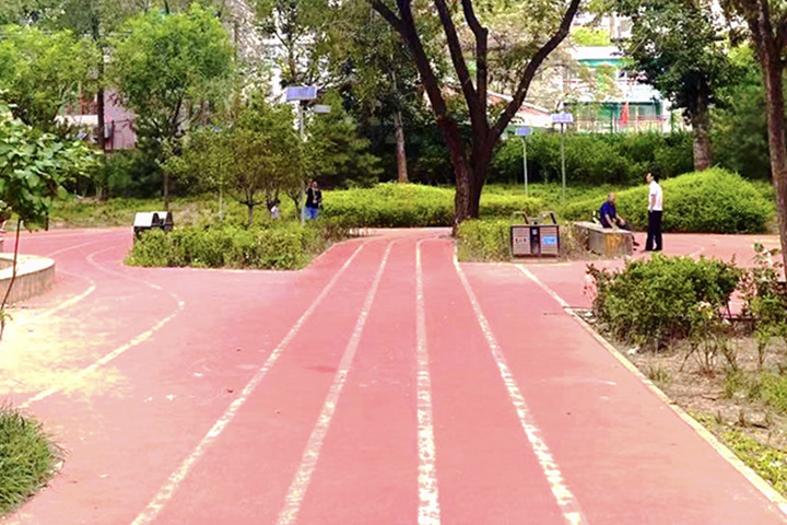 北京训练狮教育操场环境