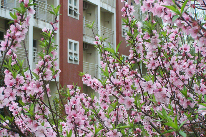 学校环境