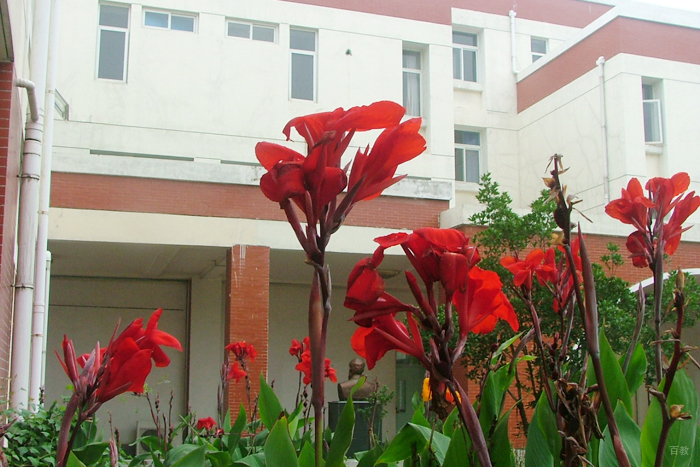 学校环境