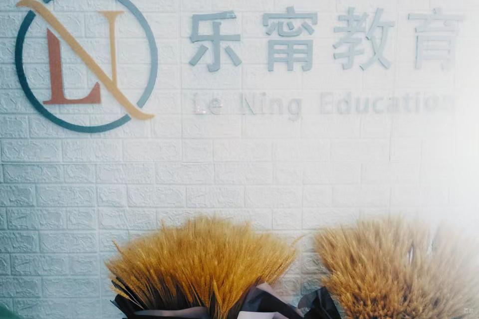 北京乐甯国际教育_学校环境