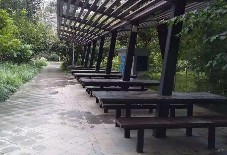 北京外国语大学_校园小道