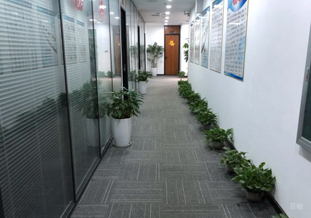 武汉汇智动力_校区环境展示