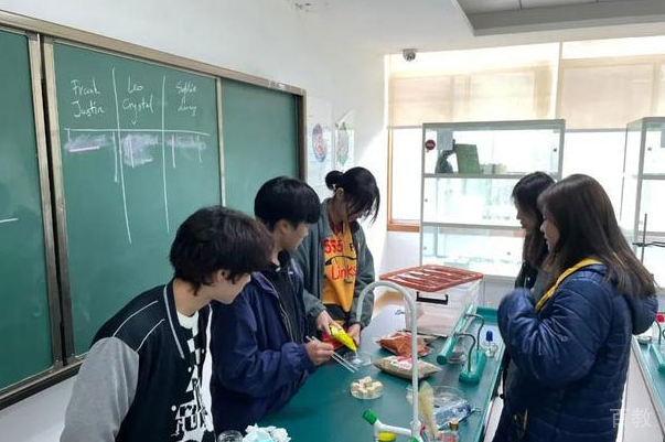 成都丹秋美亚高考学校_校园环境