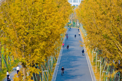 学校相册