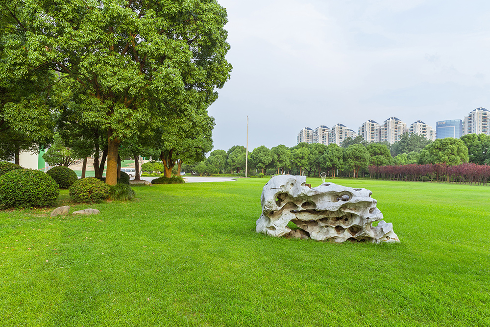 上海国际本科学校复旦大学草地环境