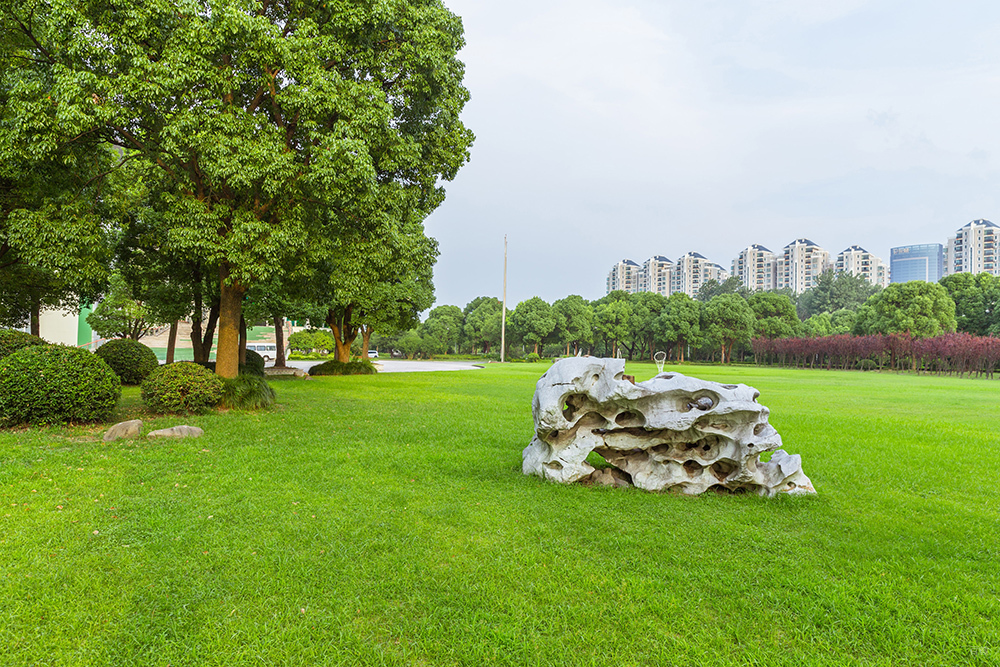 复旦大学草地环境