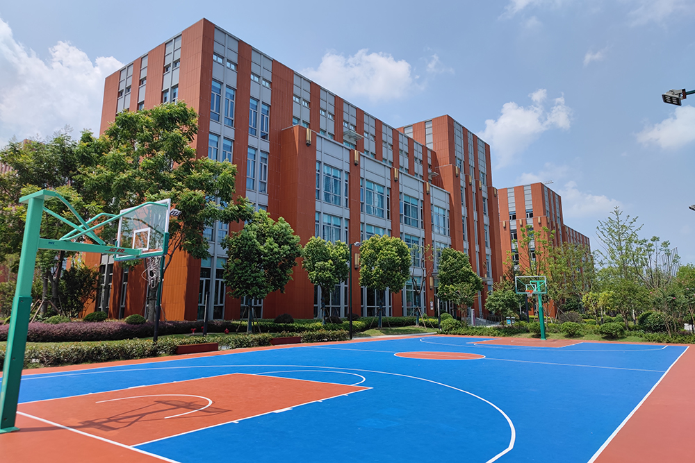 上海紫竹国际教育学院篮球场
