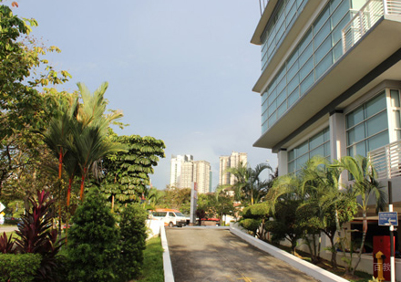 校园环境展示