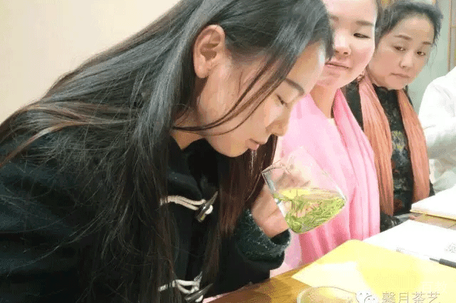 评茶