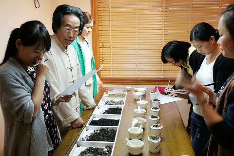 学习评茶