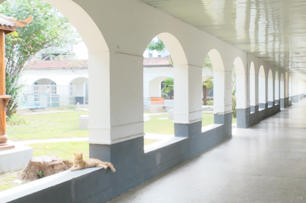 学校走廊