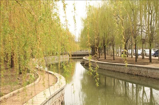 沈阳师范大学国际教育学院_学校春景