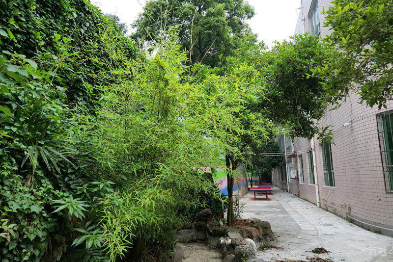 贵阳圆梦教育培训学校_学校风景