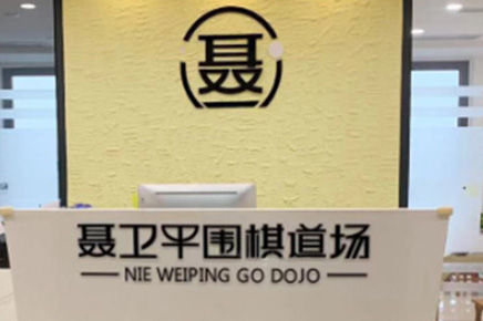 南宁聂卫平围棋_前台相册