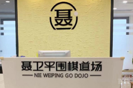 南宁聂卫平围棋_前台相册