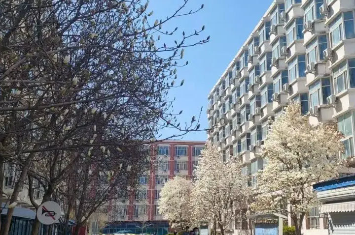 北京中国石油大学国际本科_宿舍楼环境