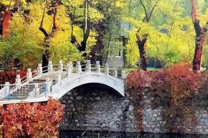 北京橘郡国际学校_小桥环境