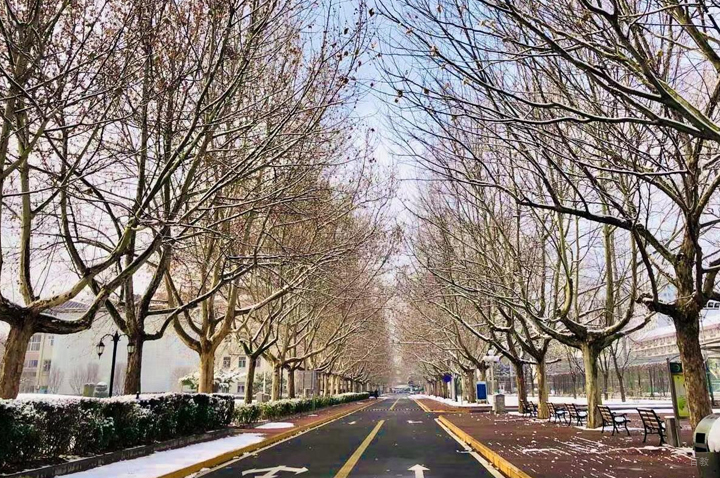 北京对外经贸大学国际本科_校园环境