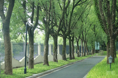 上海UIA美华学校_学校环境