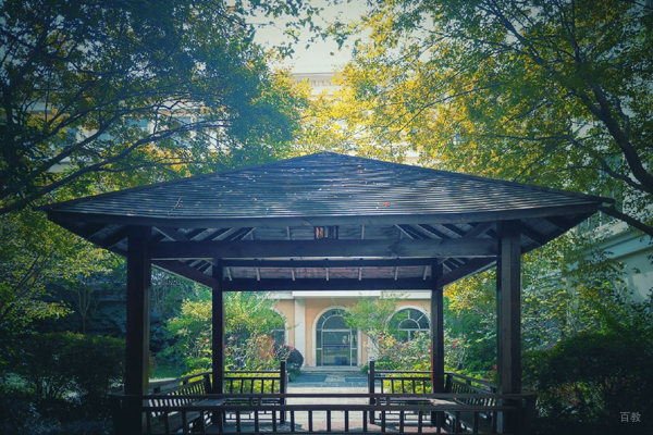 学校风景环境