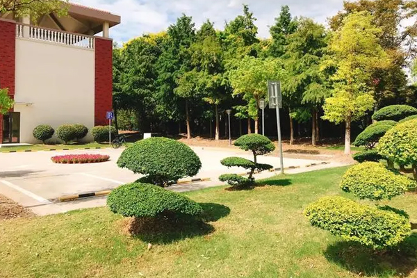 校园风景环境