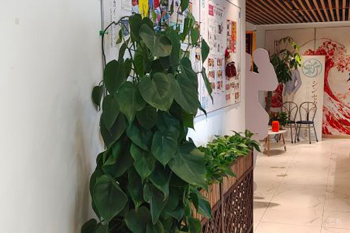 学校环境
