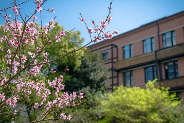 南京戏剧学院国际本科_学校风采