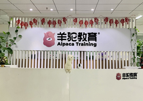 南京羊驼雅思_校园前台照片