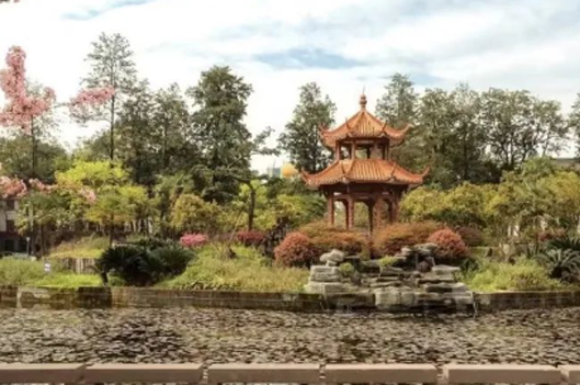 四川大學國際本科_校園風景