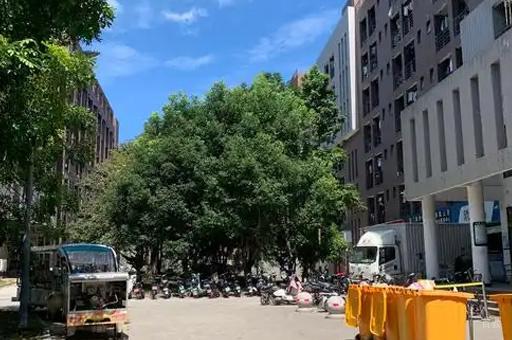 校区环境