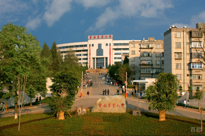 学校环境1