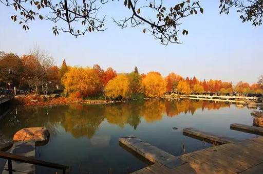 郑州大学国际学院学校环境
