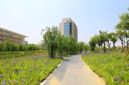 学校景观