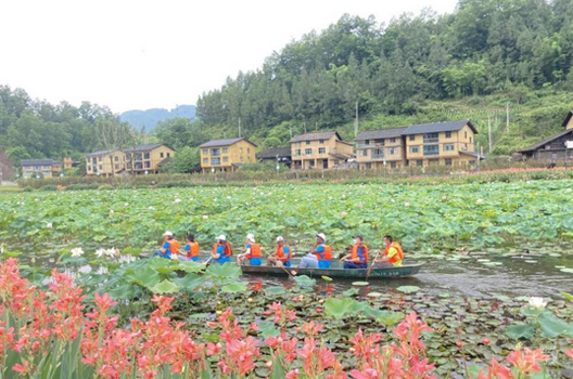 四川外国语大学国际本科_泛舟荷花湖相册
