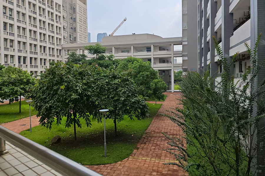 校园环境