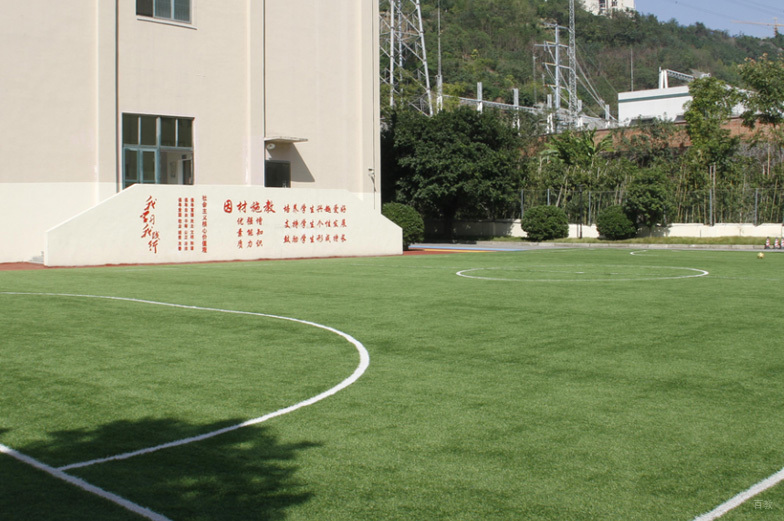 操场相册